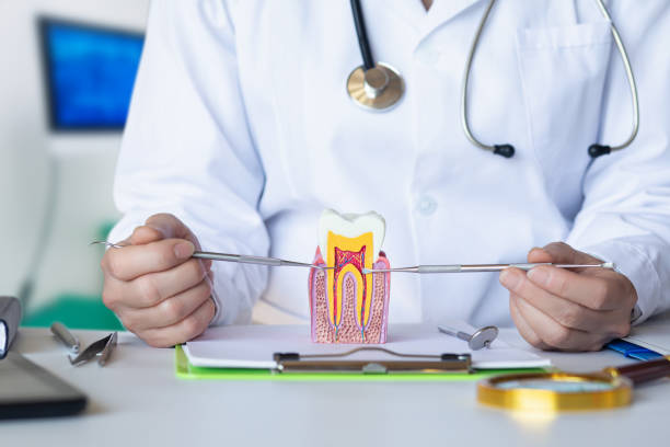 Best Emergency Treatment for Oral Infections in Clawson, MI